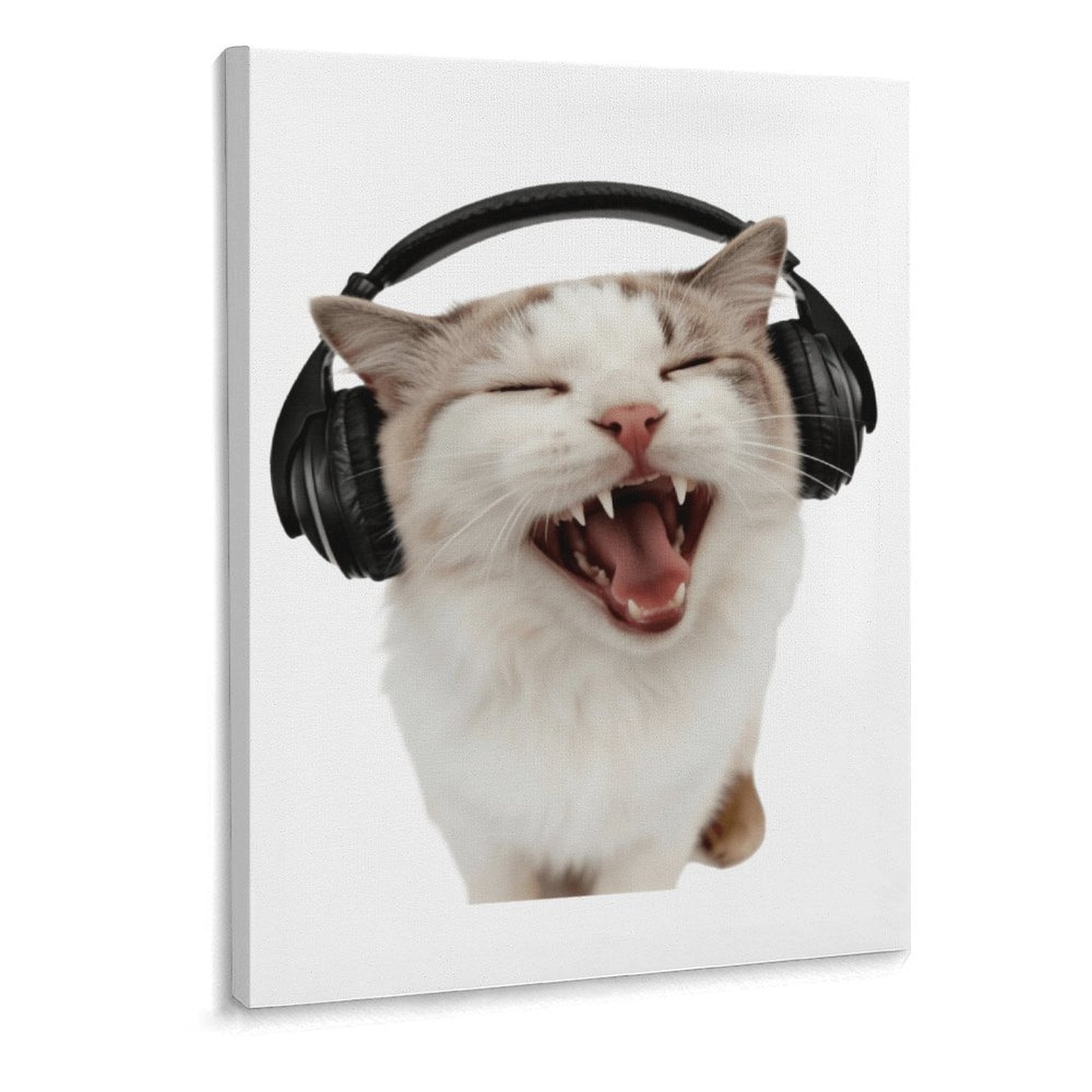 Music Cool
