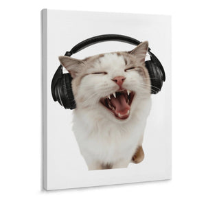 Music Cool